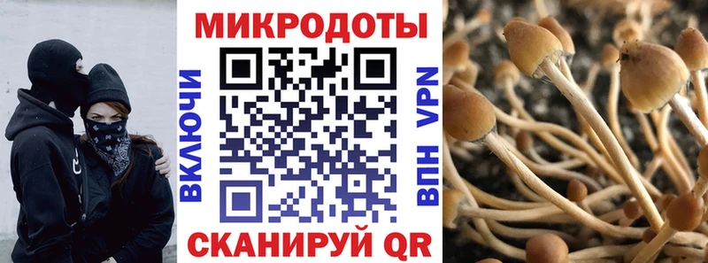 Псилоцибиновые грибы GOLDEN TEACHER  Купить  Череповец 