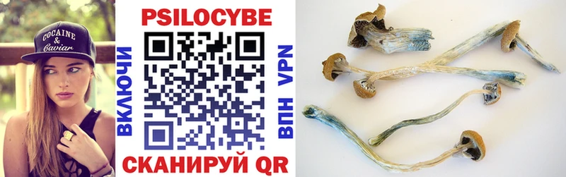 Псилоцибиновые грибы мицелий Череповец
